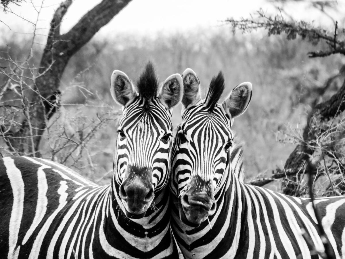 African Spirit Game Lodge Mkuze Екстериор снимка